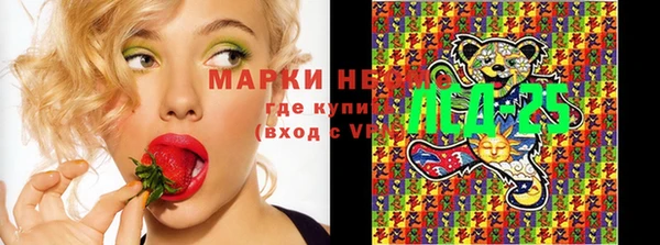 таблы Ельня