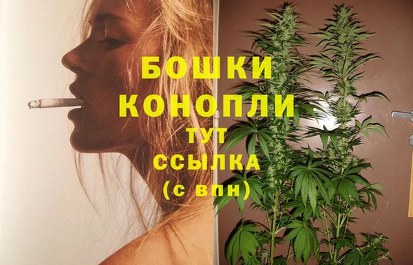 таблы Ельня