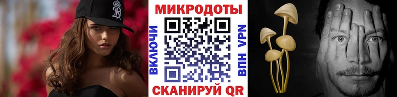 Псилоцибиновые грибы Psilocybe  Купить где  Сосновка 